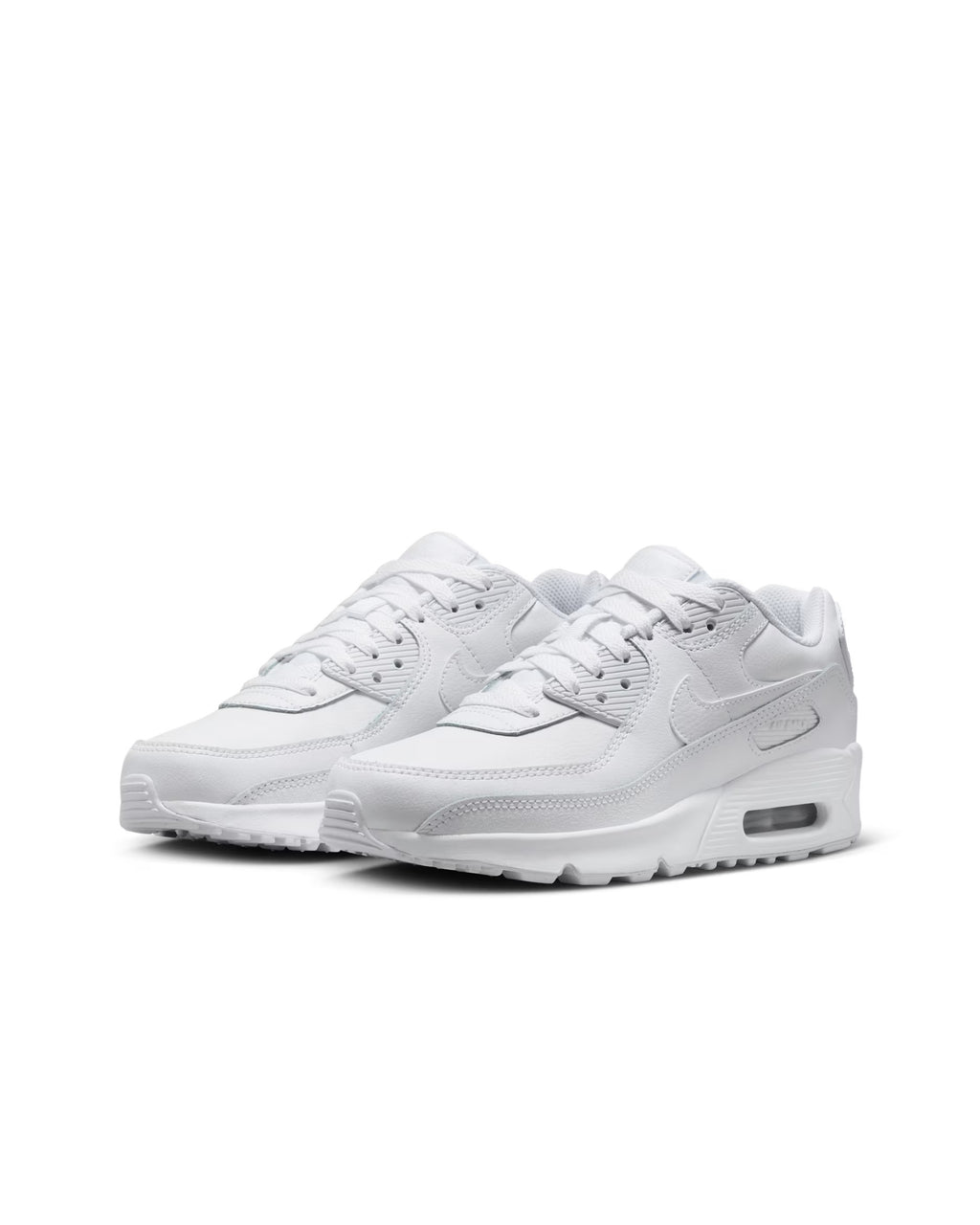 Nike Air Max 90 LTR